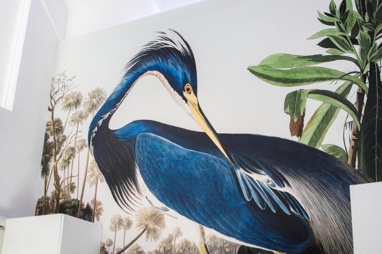 ホテル Vida Nova Retreat ハウト・ベイ エクステリア 写真
